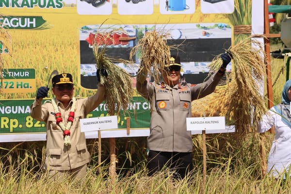 Wujud Sinergi Perkuat Swasembada Pangan, Kapolda Kalteng Panen Raya Padi Bersama Gubernur Di Kapuas
