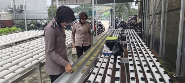 Polwan Polsek Pontianak Timur Rawat Tanaman P2L, Dukung Program Ketahanan Pangan