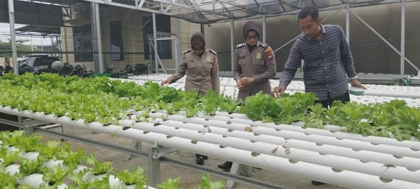 Dukung Program Ketahanan Pangan, Polwan Polsek Pontianak Timur Intensifkan Perawatan Tanaman P2L
