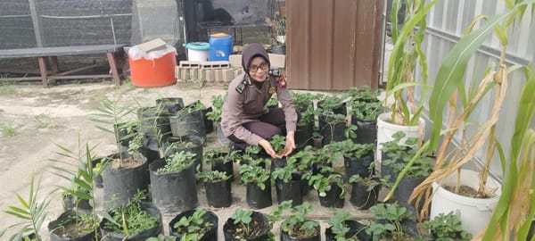 Melalui Perawatan Tanaman P2L, Polwan Polsek Pontianak Timur Berkontribusi Wujudkan Ketahanan Pangan