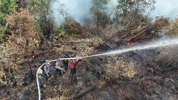 Berjibaku Padamkan Karhutla di Tengah Cuaca Panas, Personel Tetap Maksimal Lindungi Masyarakat