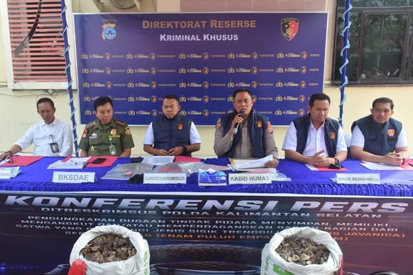 Ditreskrimsus Polda Kalsel Gagalkan Penyelundupan 64 Kg Sisik Trenggiling Jaringan Internasional, Ratusan Satwa Diduga Mati