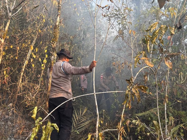 Penanganan Karhutla Hari Keenam, Brimob Kembali Turun di Biak