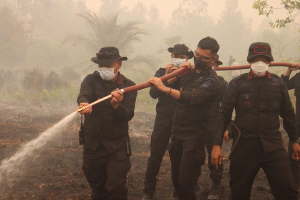Gerak Cepat Tangani Karhutla, Kapolda Kalteng Tinjau Langsung Titik Api di Mahir Mahar