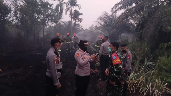 Sinergitas TNI-Polri Bersama Damkar, Tanggulangi Karhutla di Parit Demang Dalam.