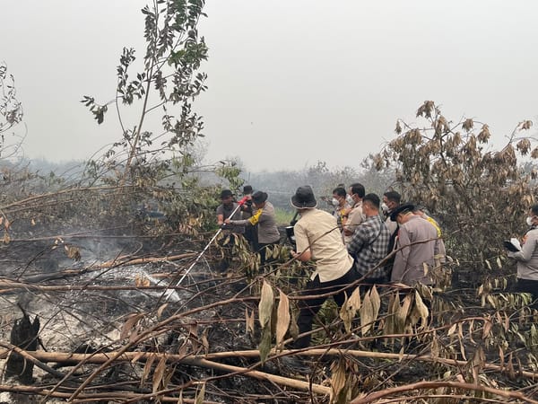 Cek Langsung Penanganan Karhutla, Kapolda Kalteng Dampingi Aslog Kapolri Uji Cairan X-Fire