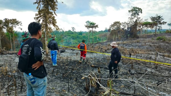 Penanganan Karhutla Berlanjut, Polda Jambi Selidiki Dua Kasus di Areal Korporasi