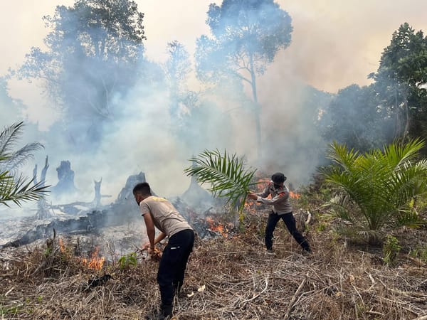 30 Personel Satbrimob Polda Jambi Dikerahkan Tangani Karhutla di Betara Tanjab Barat