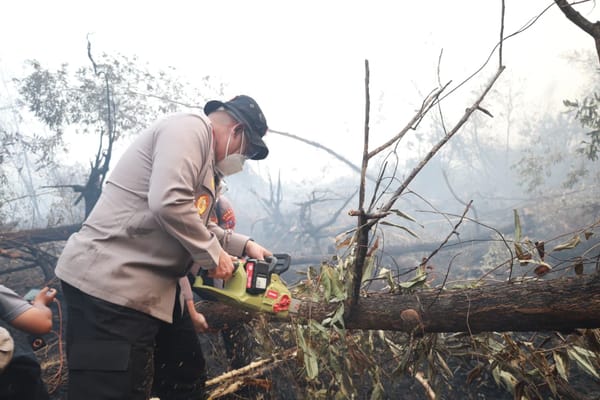 Kapolda Kalsel Turun Langsung Padamkan Karhutla di Jalan Gubernur Syarkawi