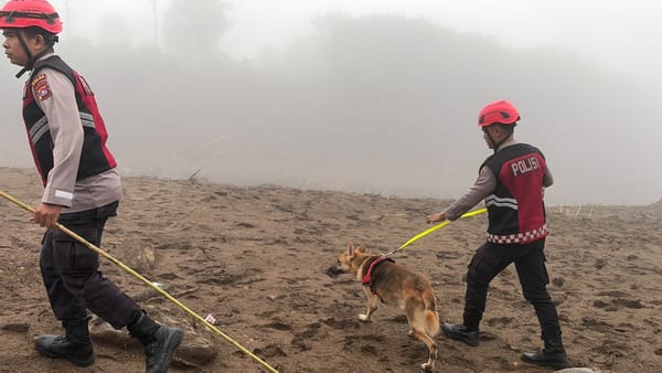 Unit Polsatwa Ditsamapta Polda Sumbar Turunkan K9 Spesifikasi SAR Telusuri Jalur Air Bah