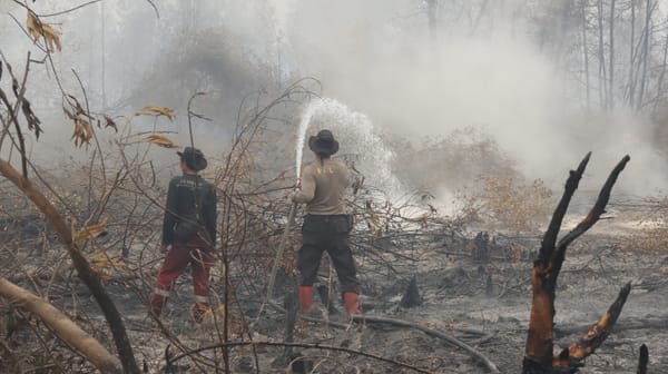Kapolda Kalteng Sisir Lokasi Karhutla, Pastikan Pemadaman Berjalan Optimal