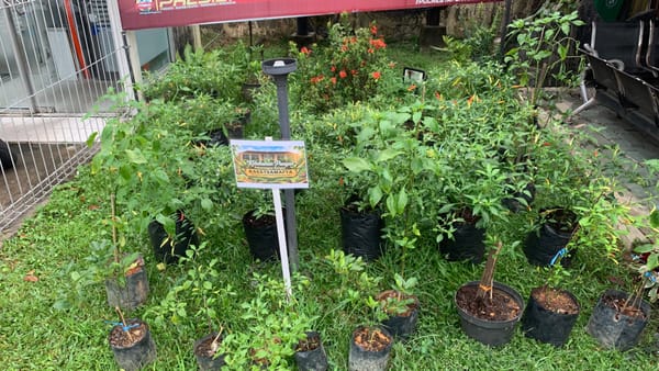 Lahan Mako Jadi Kebun Pangan, Polresta Pontianak Dukung Program P2B