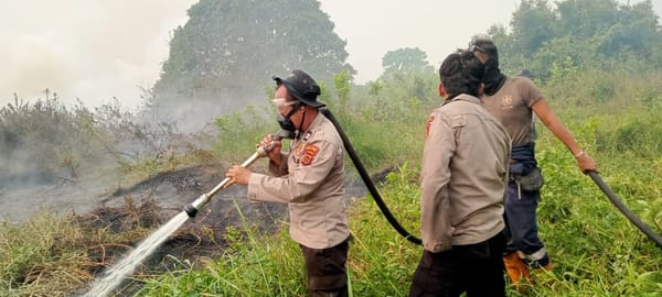 Karhutla di Kumpeh Ulu Capai 10 Hektare, Tim Gabungan Bergerak Lakukan Pemadaman