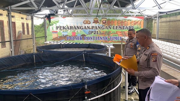 Dari Pekarangan Mako Jadi Kolam Produktif, Polsek Pontianak Timur Budidayakan Lele Dukung Swasembada Pangan