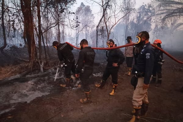 Kapolda Kalsel Turun Langsung Padamkan Kebakaran Lahan Gambut di Banjarbau