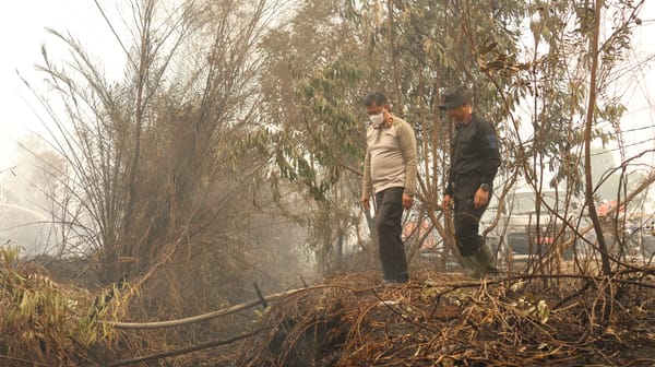 Cegah Asap Tutupi Bandara Tjilik Riwut, Kapolda Kalteng Turun Langsung Pemadaman Lahan Terbakar di Telawang Raya