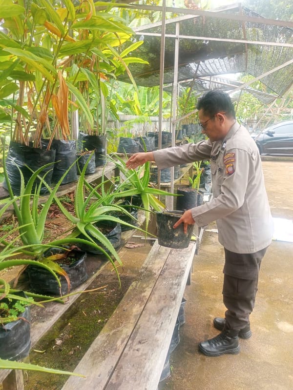 Dukung Ketahanan Pangan, Polsek Pontianak Kota Manfaatkan Lahan Mako untuk Budi Daya Sayuran