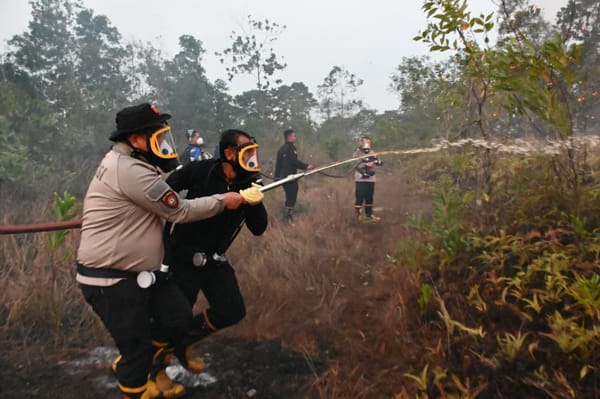 Cegah Kebakaran, Kapolda Kalsel Pimpin Langsung Pemadaman Karhutla di Banjarbaru