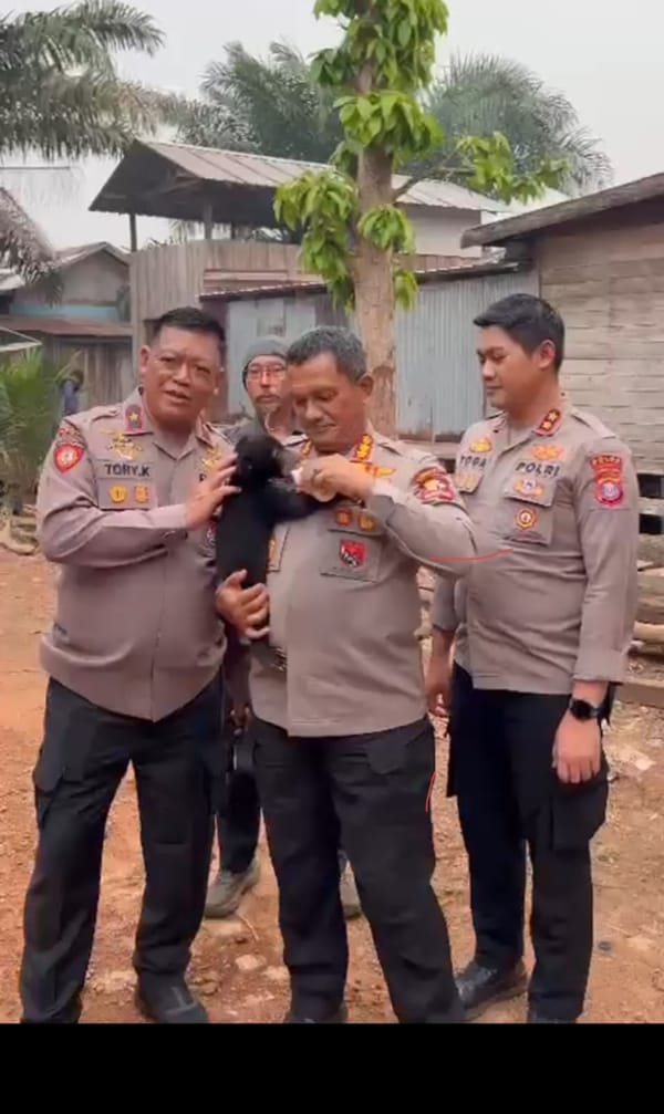 Tak Hanya Padamkan Api, Polri Selamatkan Anak Beruang Madu Terdampak Karhutla
